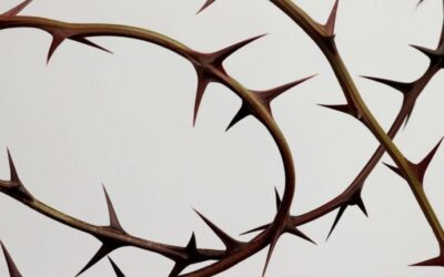 “Hoạn nạn còn sót lại của Chúa Cứu Thế” trong Côl 1:24 nghĩa là gì?