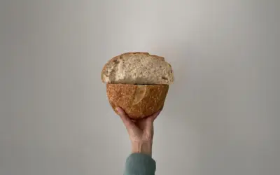 Trong Gi 6:12, tại sao Chúa lại bảo môn đồ Ngài đi nhặt bánh thừa?